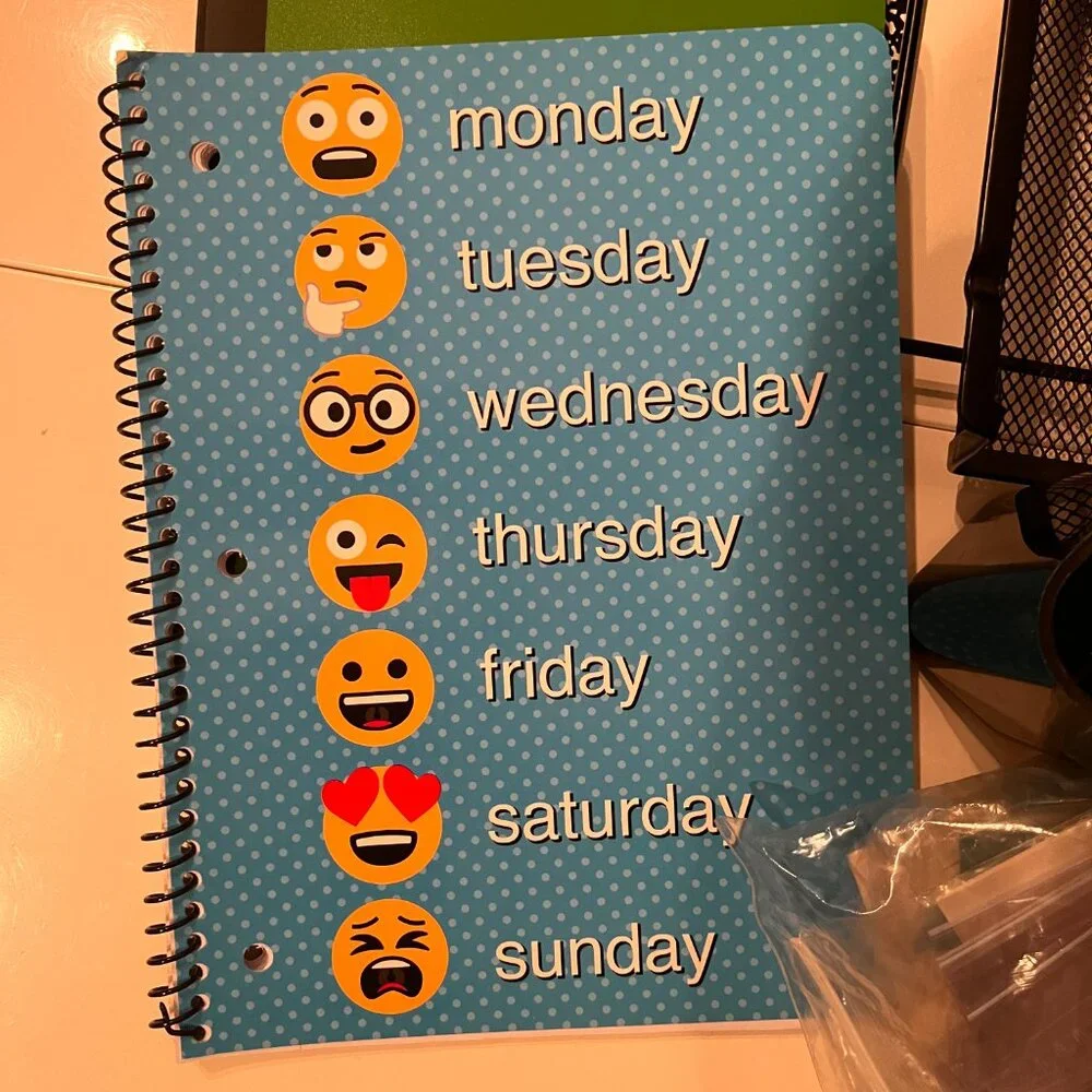 Office Supplies (Mixed Lot - 4‎ Lined Notebooks, Hole Puncher, Organizing Items)